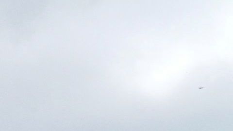 Los pequeños negocios han sido golpeados seriamente por la pandemia.