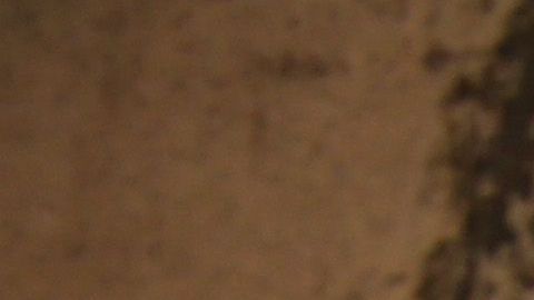 U.S. Agents Patrol Mexico Texas Border