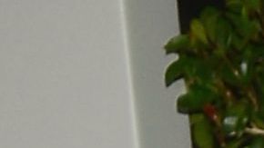 La actriz colombiana Sofáa Vergara compartió con sus seguidores de Instagram la inauguración del verano con la nueva decoración de su piscina.