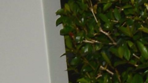 La actriz colombiana Sofáa Vergara compartió con sus seguidores de Instagram la inauguración del verano con la nueva decoración de su piscina.