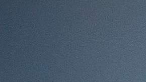 Desde que  presidente Trump asumió el cargo, el número de detenciones de indocumentados ha aumentado un 40 por ciento en NY