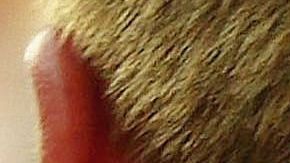 Brad Pitt y Jennifer Aniston.