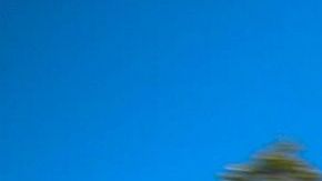 Johnny Depp y su ex esposa Amber Heard