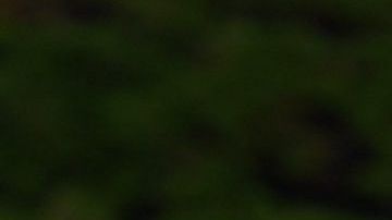 El galés Gareth Bale está más entusiasmado por el golf que por lo que se viene en su futuro futbolístico.