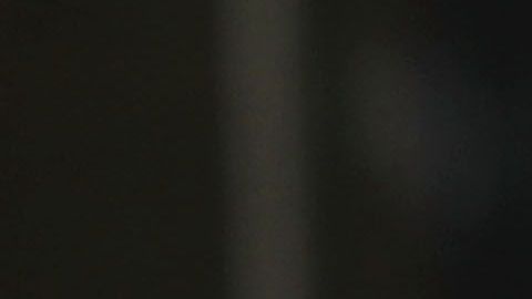 Obama pide a las televisiones de Carolina del Sur que retiren anuncio contra Biden.