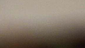 Casi todos los billetes estaban en buenas condiciones, dijo un médico.