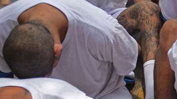 MS-13 en El Salvador