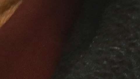 Inmigrantes han sido detenidos durante entrevistas en USCIS.