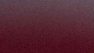 Ivanka Trump es asesora en la Casa Blanca.