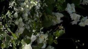 Meghan y Harry se casaron en mayo de 2018.