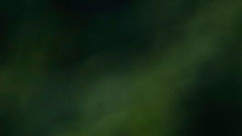 El Servicio Secreto desmintió haber interceptado un paquete dirigido a la Casa Blanca.