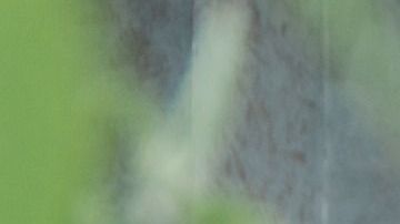 Consigue el perdón que necesitas.