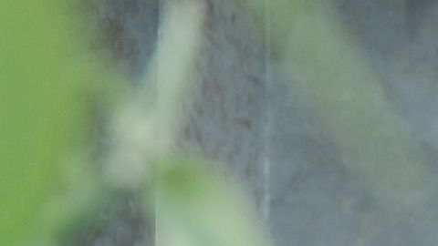 Consigue el perdón que necesitas.