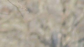 Acudir a un parque público puede estar bien, si te mantienes alejado del resto de las personas.