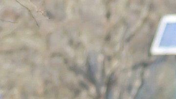 Acudir a un parque público puede estar bien, si te mantienes alejado del resto de las personas.