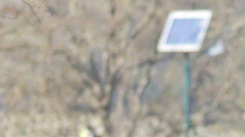 Acudir a un parque público puede estar bien, si te mantienes alejado del resto de las personas.