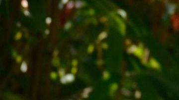 Los adultos mayores deben cuidarse porque los niños sí pueden ser portadores y no tener un solo síntoma que les afecte.