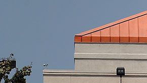 Las tiendas de Home Depot se mantienen abiertas, aunque con medidas de prevención del coronavirus.