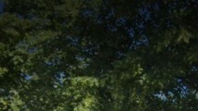 El hospital en Staten Island la suspendió