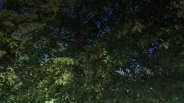 El hospital en Staten Island la suspendió