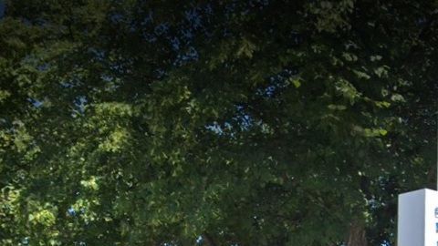 El hospital en Staten Island la suspendió