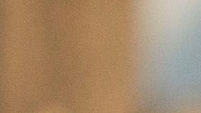 Pulido y Pizarro vivieron momentos inolvidables en Chivas.