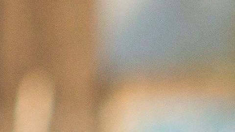 Pulido y Pizarro vivieron momentos inolvidables en Chivas.