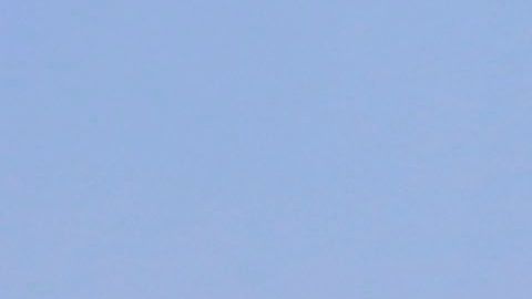 Aficionados de Pumas llaman a la unidad nacional