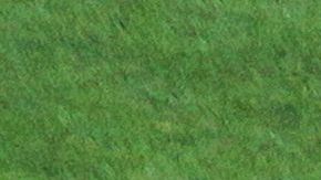 El técnico aun no ha podido arreglarse con el Monterrey.