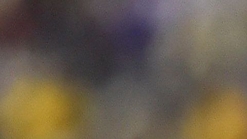 América y Chivas se enfrentarán en la jornada 14.