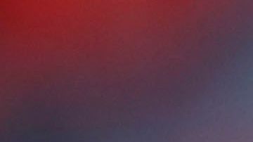 El mensaje recibió muchas muestras de apoyo.