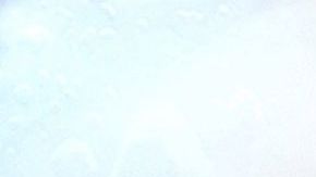 Ricky Martin ayudando a Puerto Rico