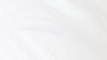 bebé recién nacido