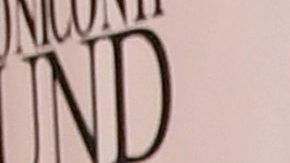 Alex Rodríguez y Jennifer López se quedaron sin potenciales socios para adquirir al equipo de béisbol.