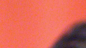 Michael Jordan con su primera esposa, Juanita Vanoy.