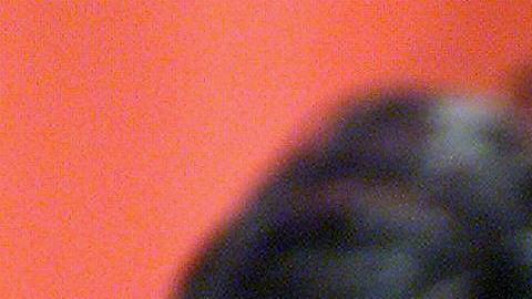 Michael Jordan con su primera esposa, Juanita Vanoy.