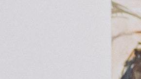 La astrología te dice cómo aceptar una crítica.