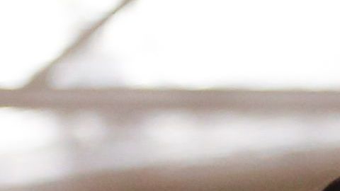 Karate, un arte marcial que puedes aprender gratis.