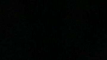 kyle kuzma winnie harlow