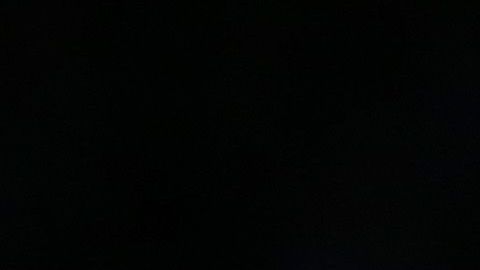 kyle kuzma winnie harlow