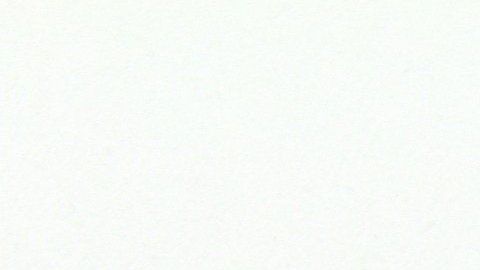 El aloe vera posee múltiples beneficios.