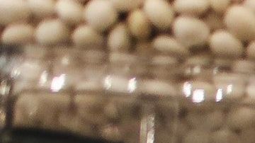 legumbres-Polina Tankilevitch en Pexels