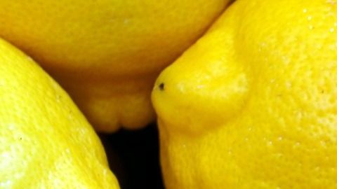 El truco es el nuevo éxito viral de TikTok.