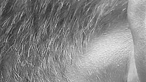 Para recuperar el deseo se deben recuperar las demostraciones básicas como los besos o las caricias.