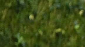 Madonna habló de su hijo Rocco.