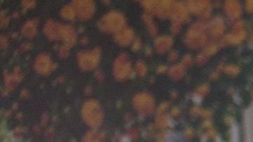 Todas las personas podrían tener sueños premonitorios.