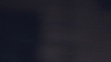 El gato de la fortuna es uno de los amuletos más populares.