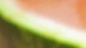 El exceso de azúcar en la sangre está asociado con el estrés oxidativo y la inflamación, la resistencia a la insulina, los perfiles de colesterol poco saludables y la diabetes tipo 2.