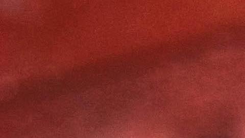 Perro French bulldog. Imagen ilustrativa.