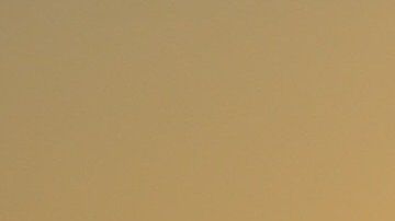 Cada signo tiene un lado maternal.